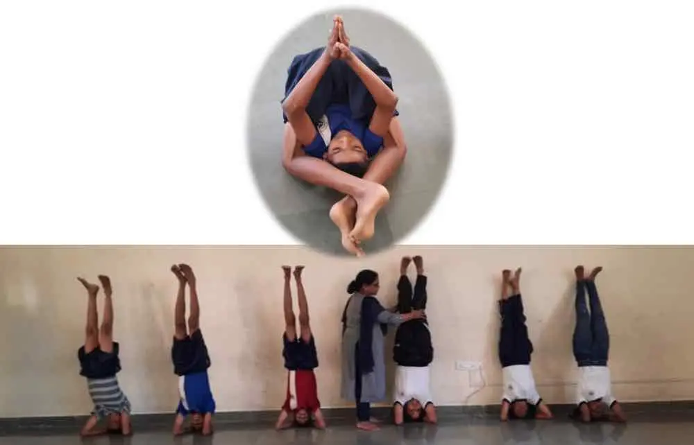 Yoga, Meditation and Aerobics